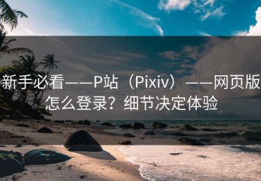 新手必看——P站（Pixiv）——网页版怎么登录？细节决定体验