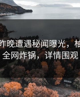 明星在昨晚遭遇秘闻曝光，柚子影视全网炸锅，详情围观