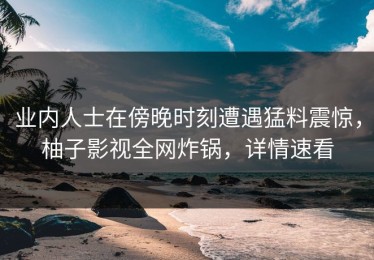 业内人士在傍晚时刻遭遇猛料震惊，柚子影视全网炸锅，详情速看