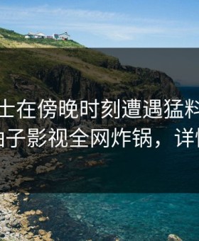 业内人士在傍晚时刻遭遇猛料引爆全场，柚子影视全网炸锅，详情揭秘
