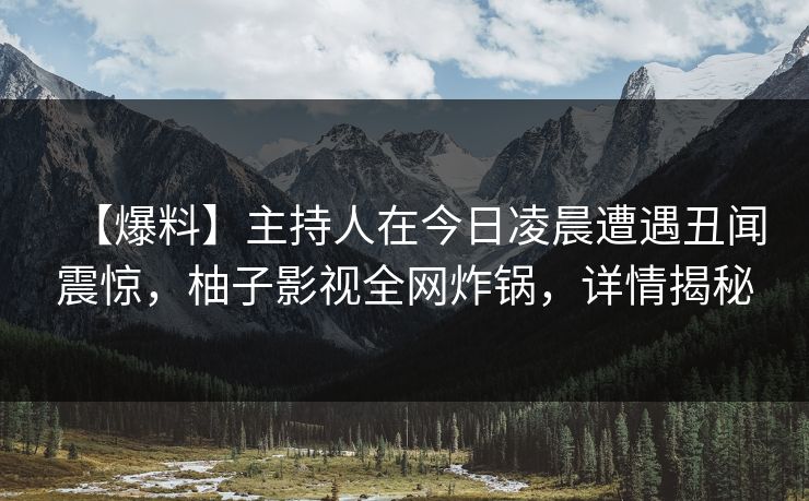 【爆料】主持人在今日凌晨遭遇丑闻震惊，柚子影视全网炸锅，详情揭秘