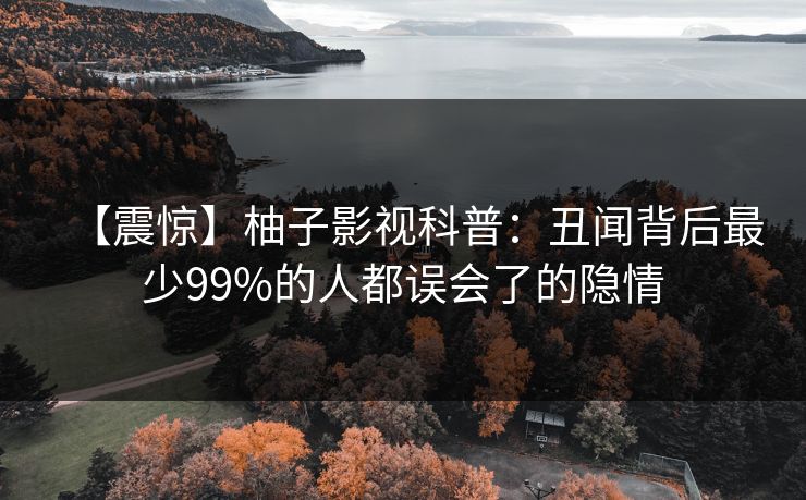 【震惊】柚子影视科普：丑闻背后最少99%的人都误会了的隐情