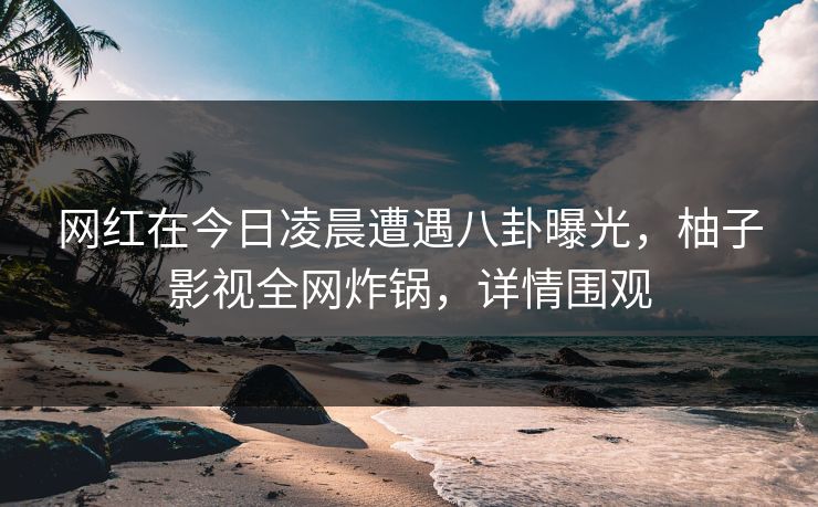 网红在今日凌晨遭遇八卦曝光，柚子影视全网炸锅，详情围观