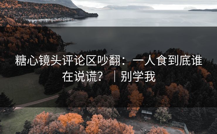 糖心镜头评论区吵翻：一人食到底谁在说谎？｜别学我